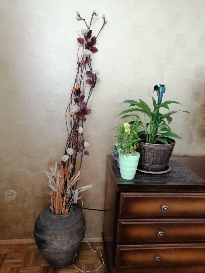 Apartman Maja Banja Luka Kültér fotó